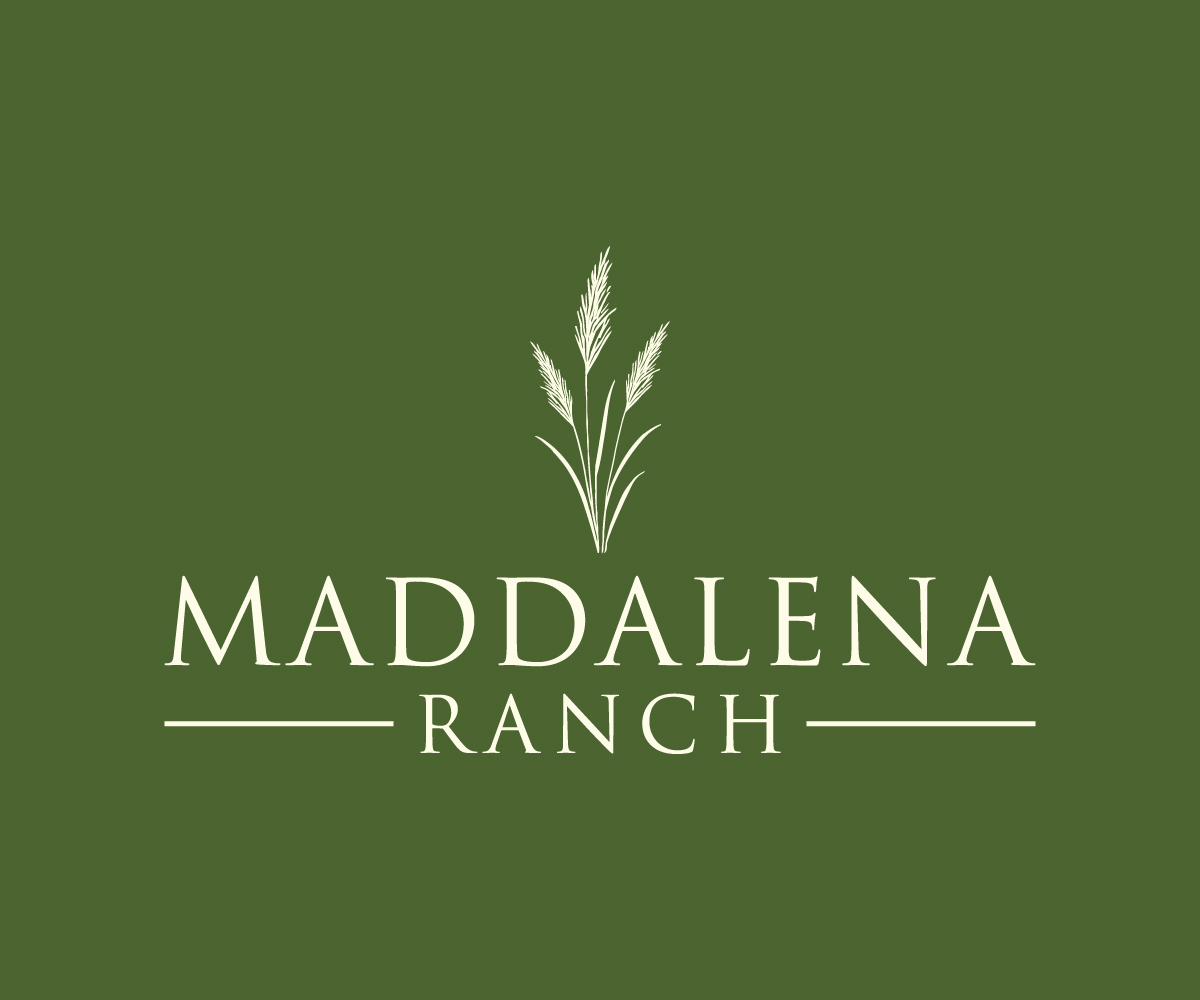 Logo Design by Janna Design for this project | Design #36457683