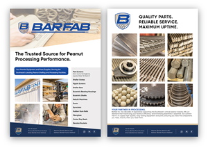 Flyer Design by Nina-design for this project | Design #36440069