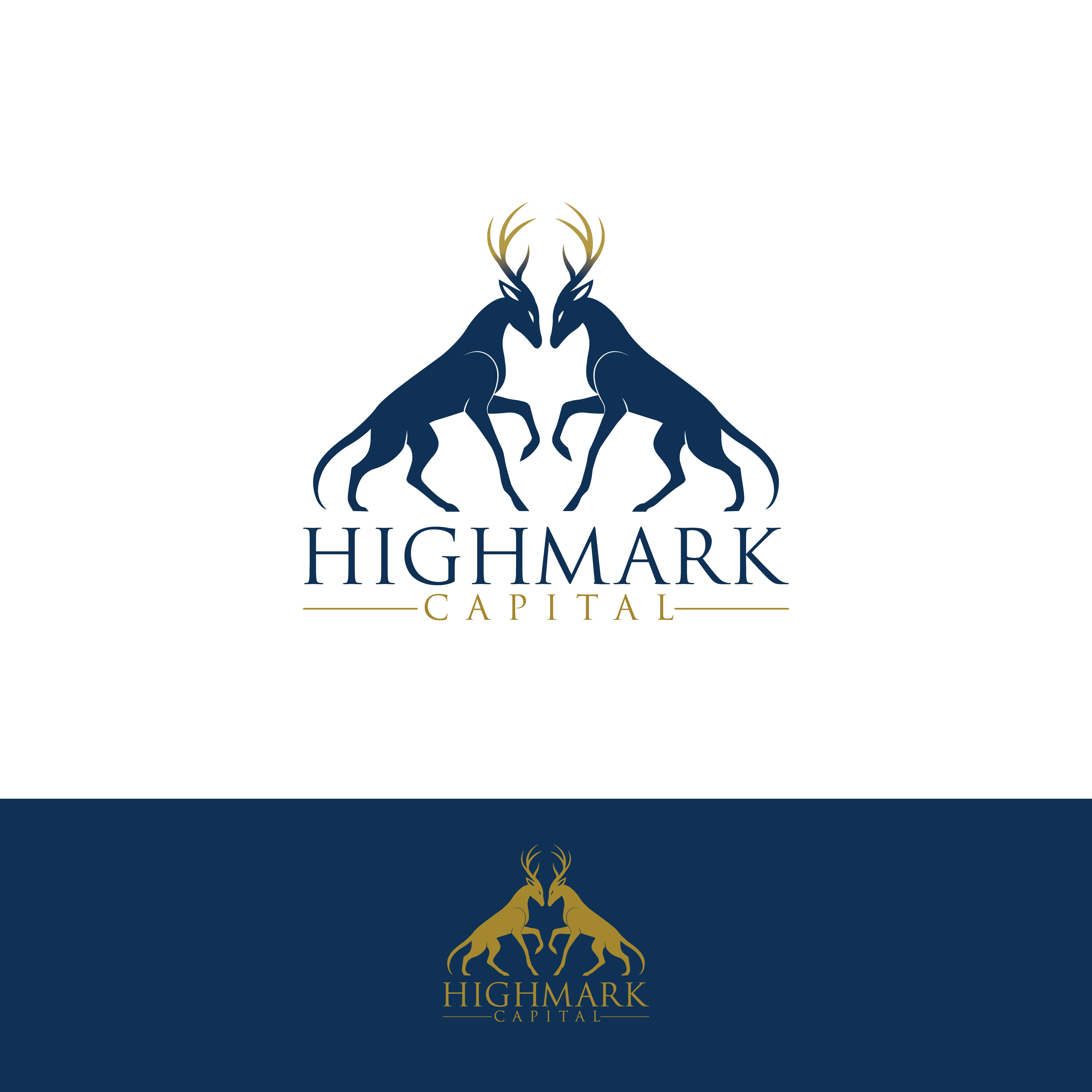 Logo Design by ainee4 for this project | Design #36441471