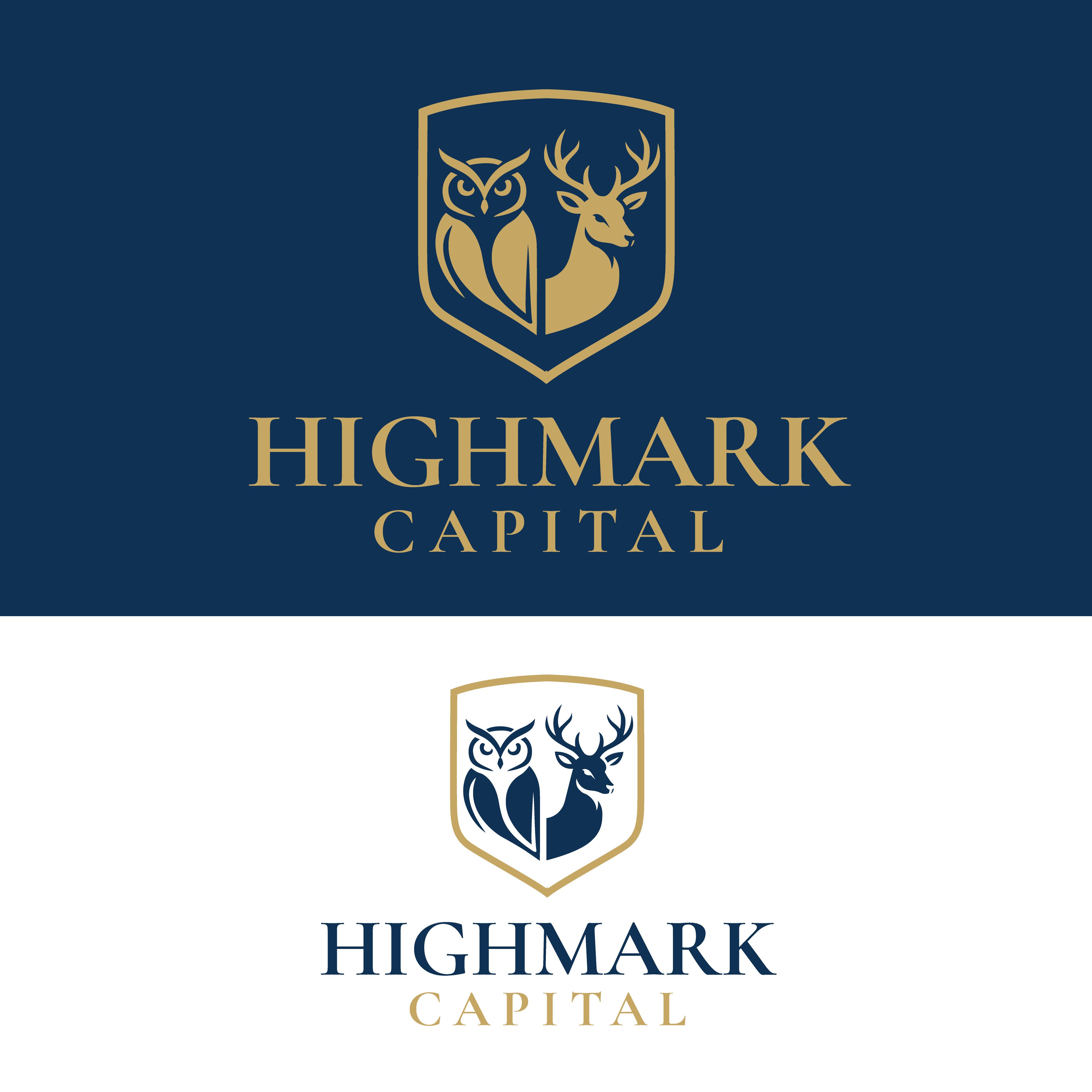 Logo-Design von Casey Kelechi für dieses Projekt | Design #36498472