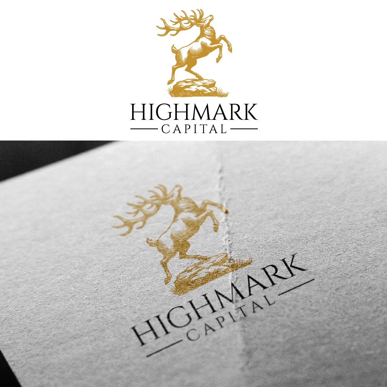 Logo-Design von ahmeddesigner123 für dieses Projekt | Design #36468294