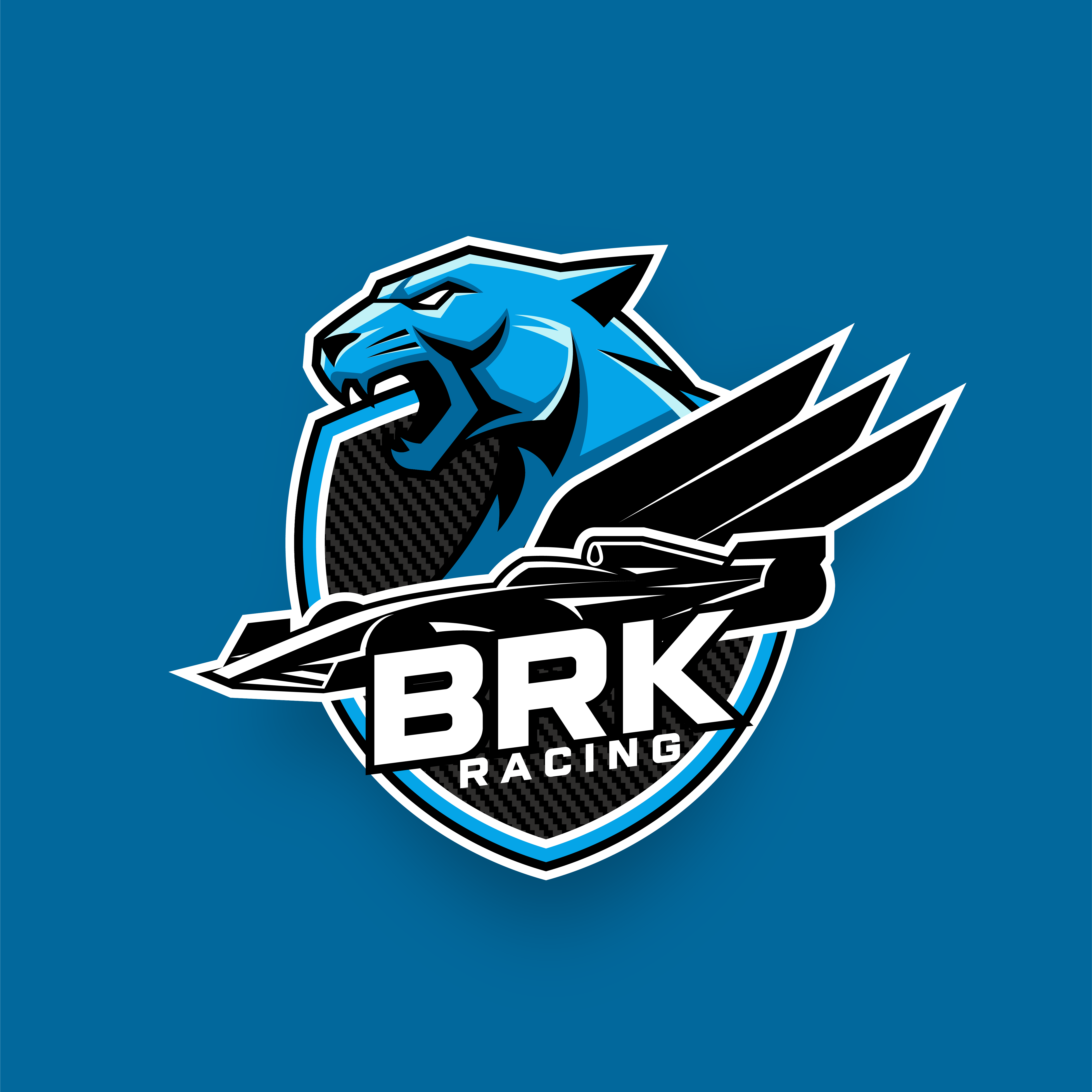 Logo Design by Daud Nadeem for this project | Design #36441647