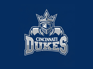 Logo Design by Hasib3509 for eDriven Solutions | Design: #36451363