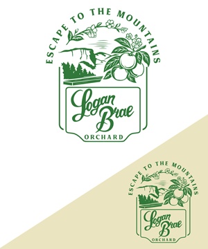 Graphic Design by StudioD™