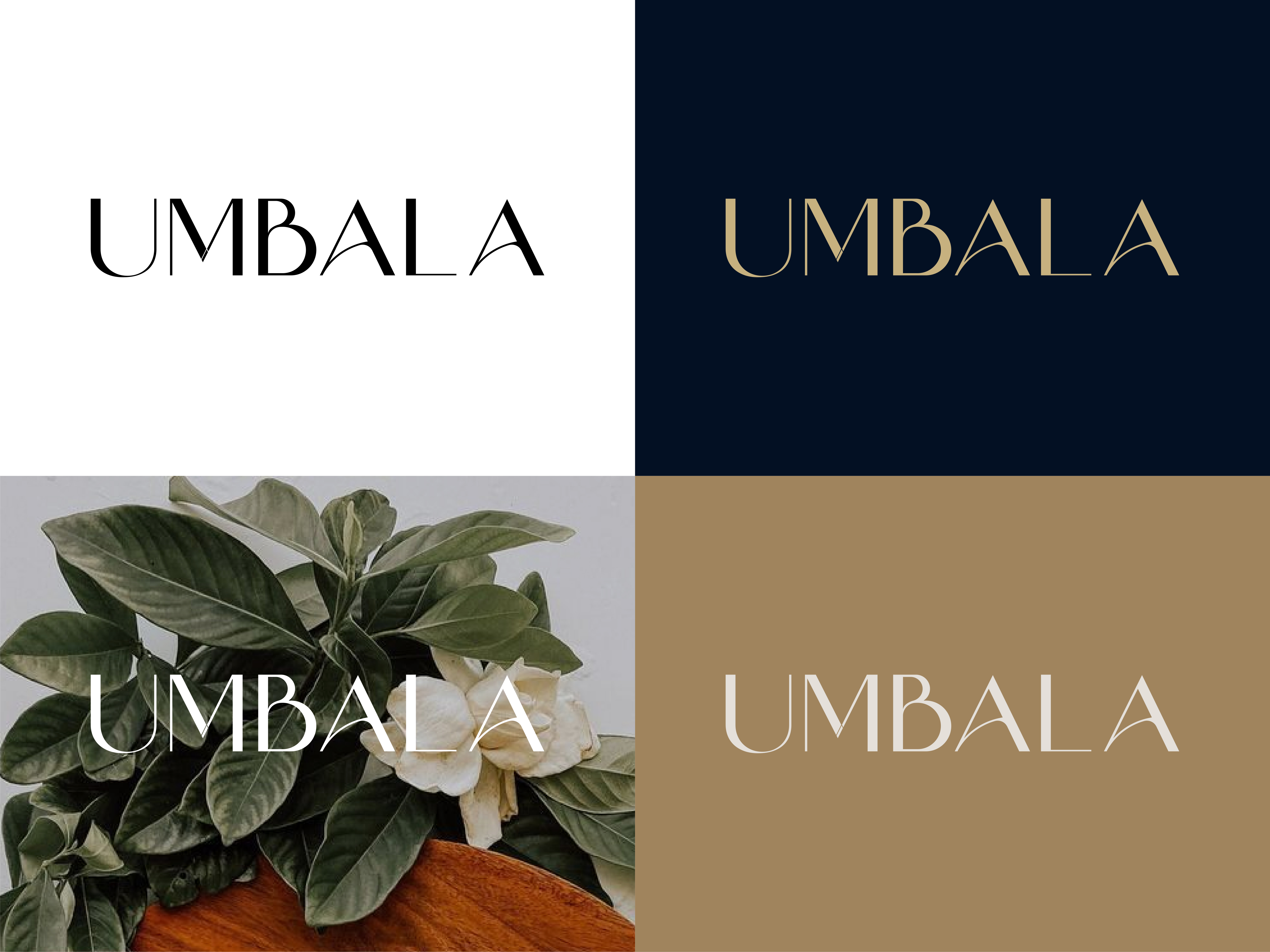 Design de Logo par ArtTank pour ce projet | Design #36455299