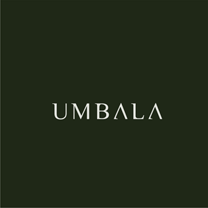 Logo Design by junior pxl design
