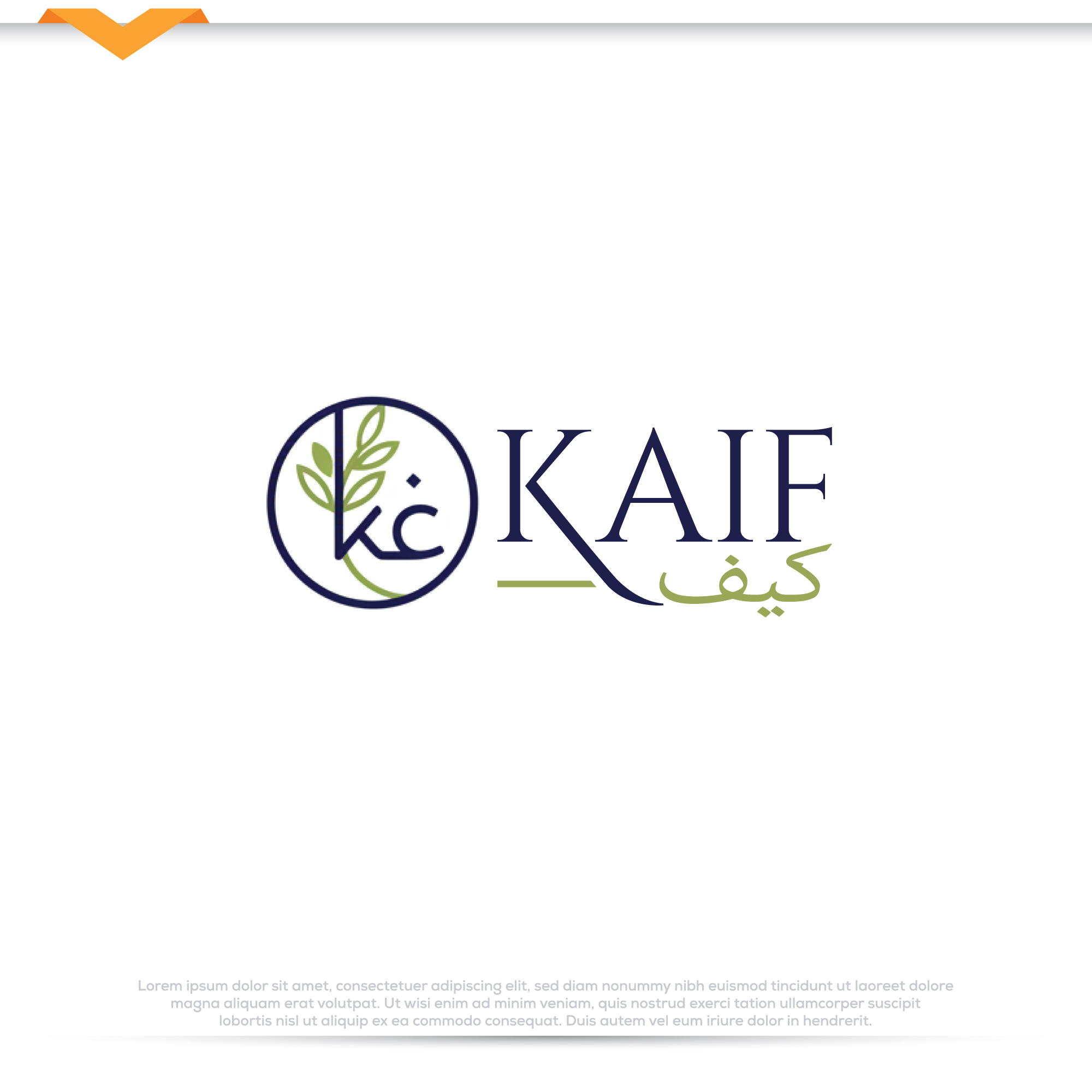 Logo Design by Pilot_DesignR™ for this project | Design #36456676