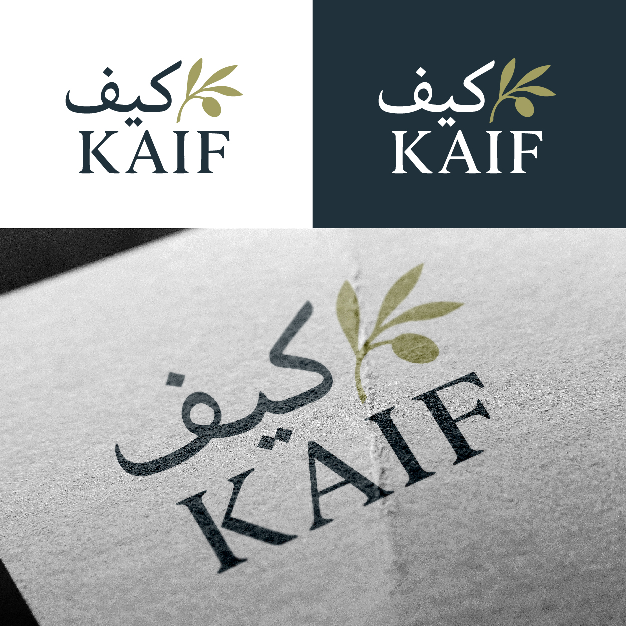 Diseño de Logo por ahmeddesigner123 para este proyecto | Diseño #36458055