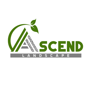 Logo Design by MonsterDesign for this project | Design: #36469479