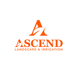 Logo Design by Subha_Islam_Designs