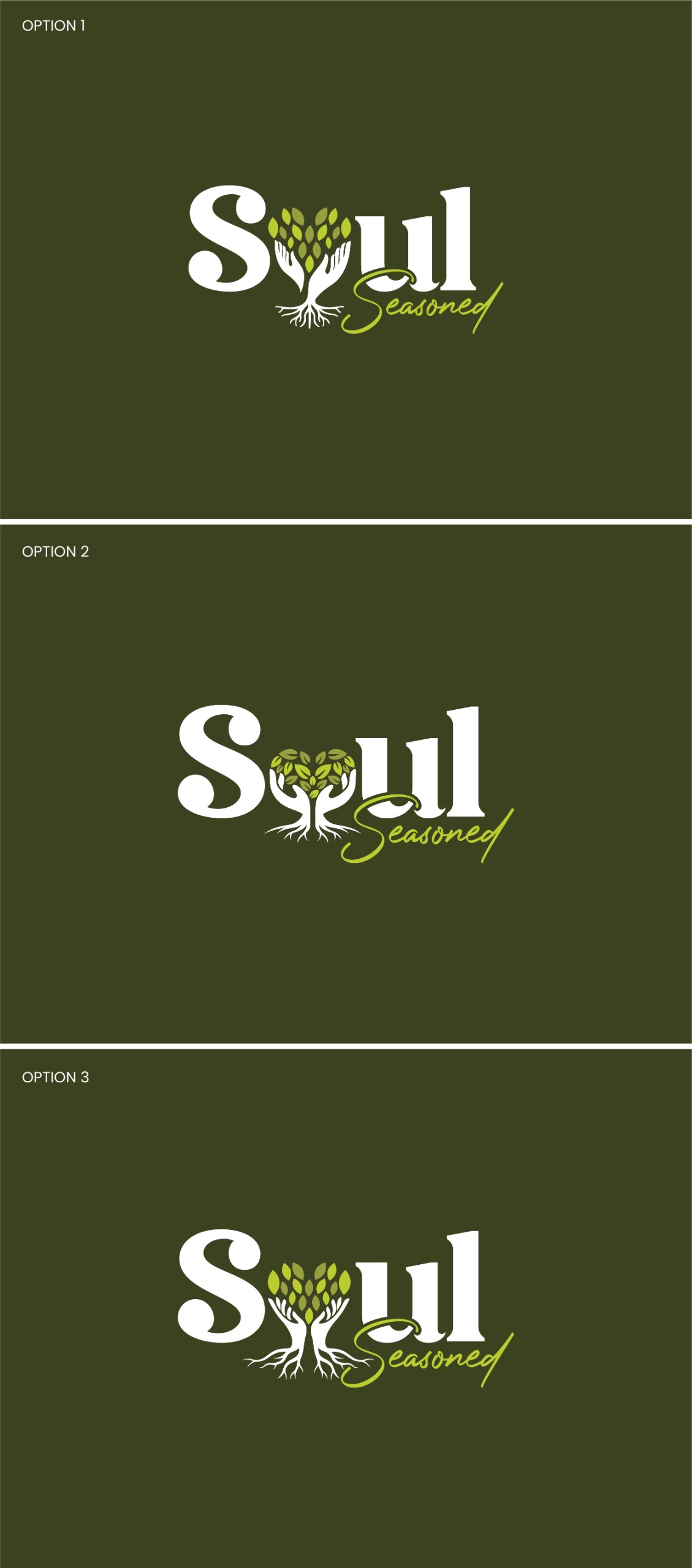 Logo Design by PixelUP Graphics for Soul Seasoned | Design #36492902