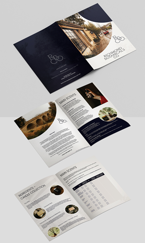 Design de Flyer par Talha Ahmad pour ce projet | Design #36474920