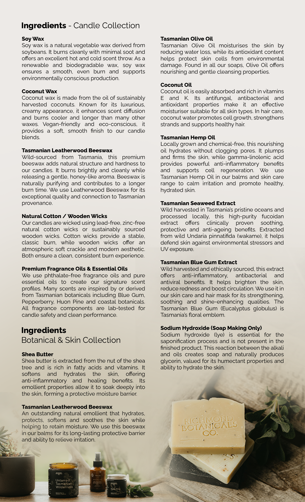 Design de Flyer par noeg.hasan pour ce projet | Design #36520873