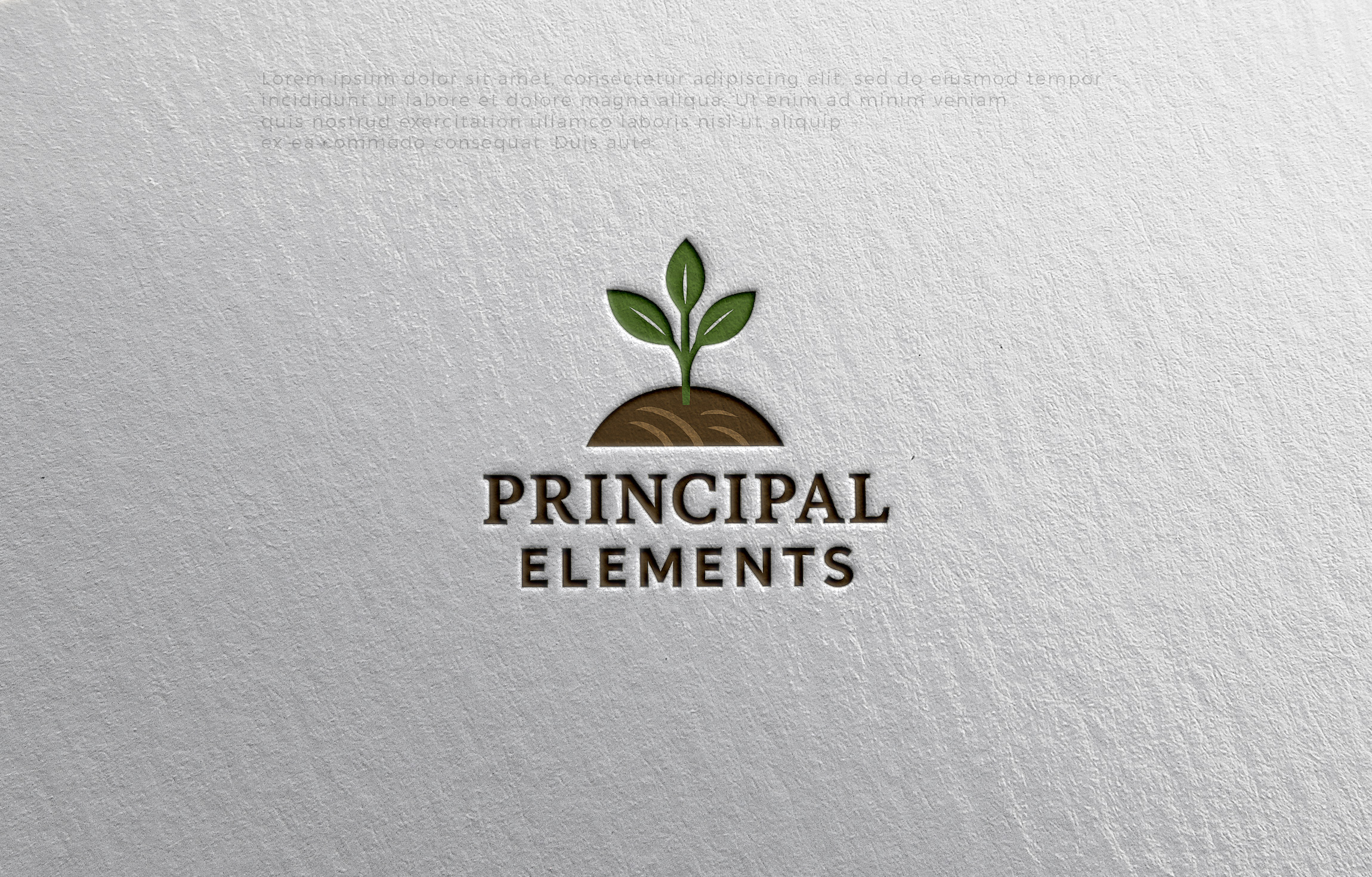 Logo Design by MHdesignM for this project | Design #36477084