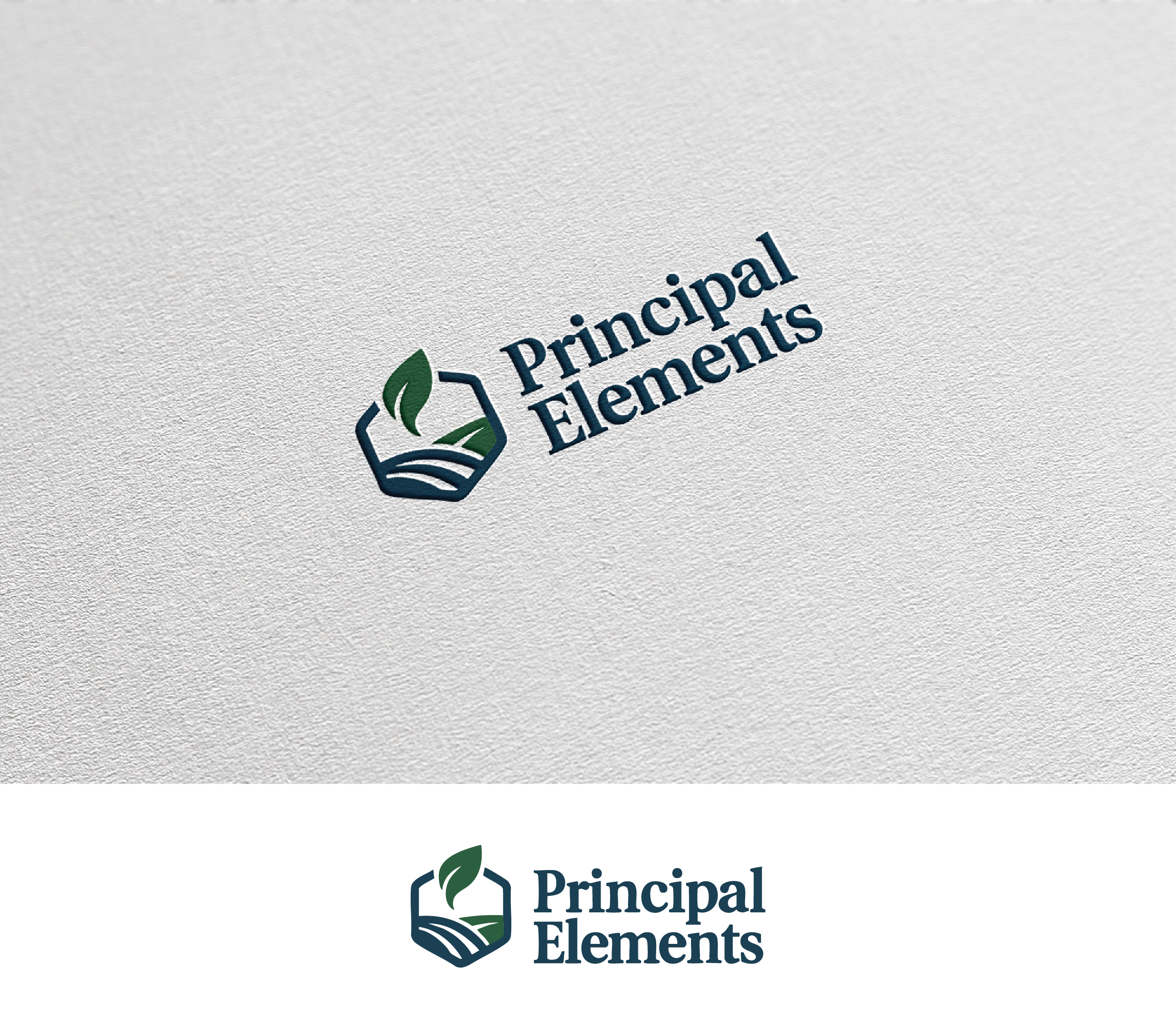 Diseño de Logo por Afsana_Hoque para este proyecto | Diseño #36477233