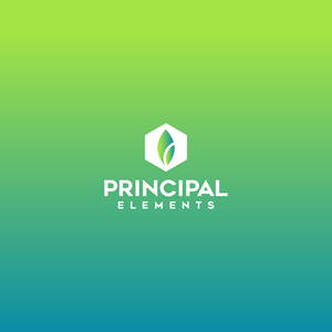 Logo Design by Naufal RA