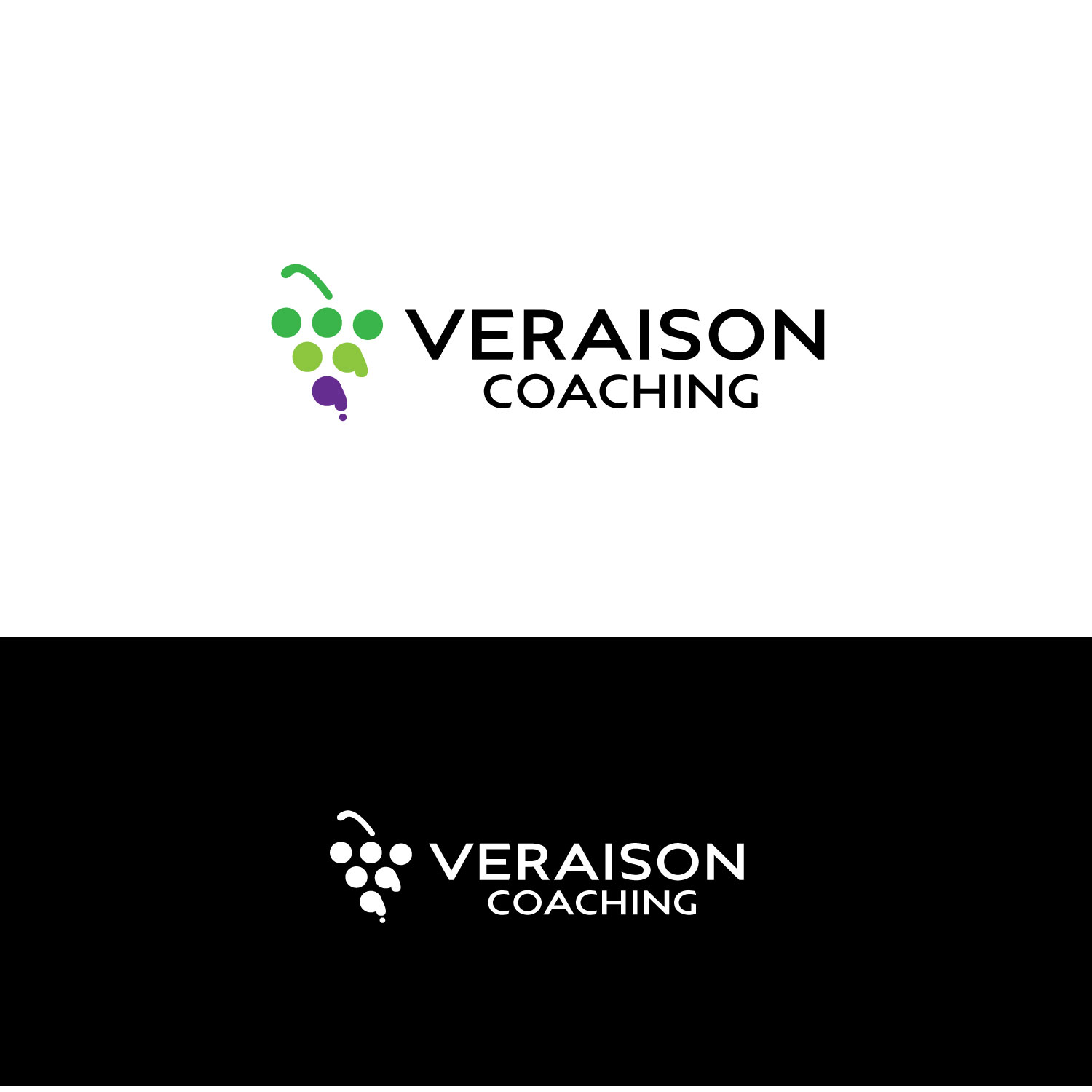 Logo Design by Art_lv for this project | Design #36501787