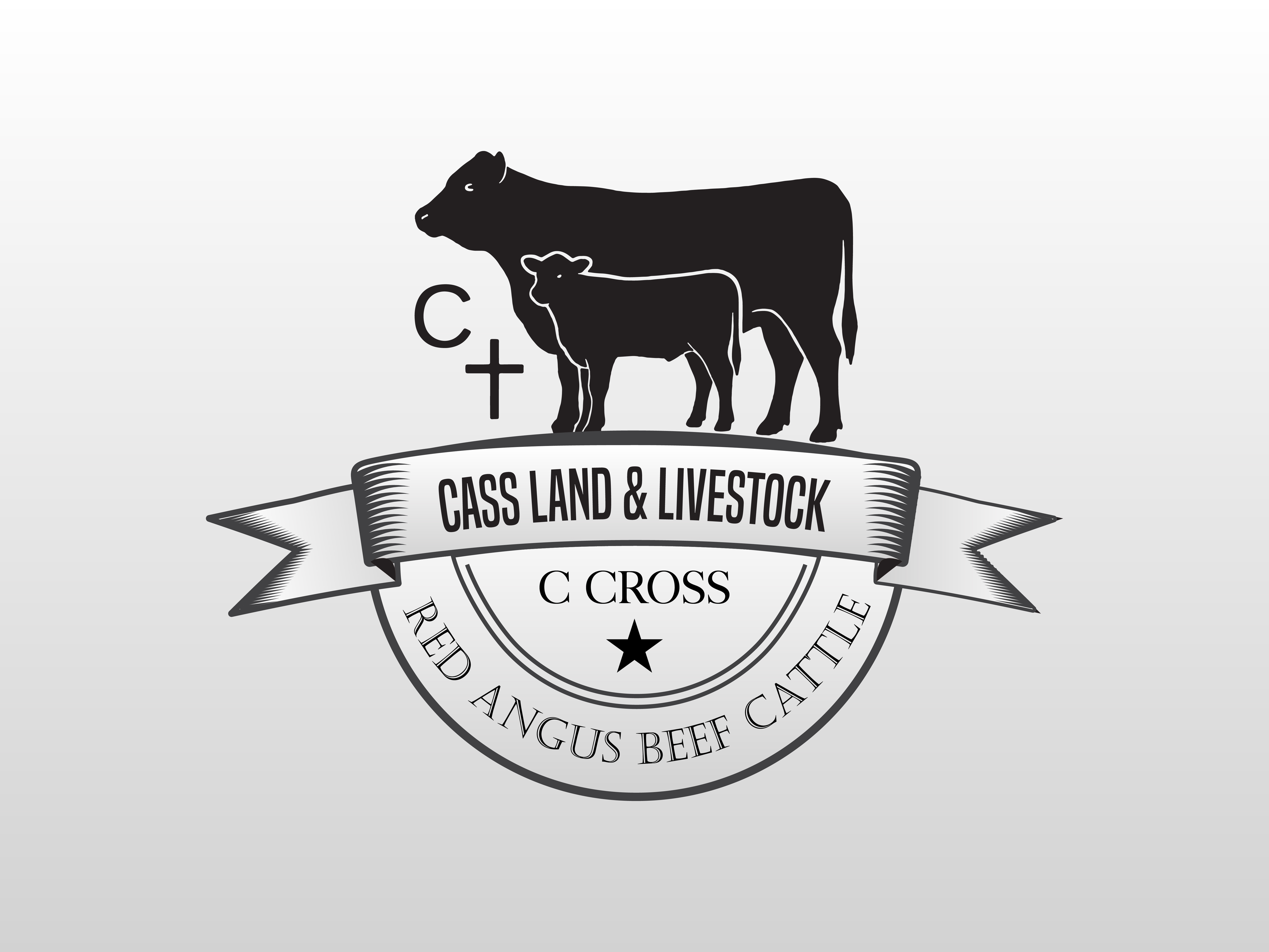 Logo Design by LENTERA DESIGN 2 for this project | Design #36504173