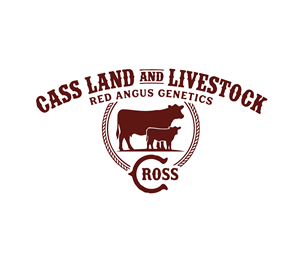 Logo Design by Nova_Create for this project | Design: #36472183