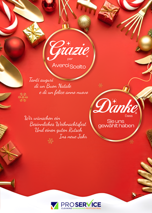 Christmas Greeting Cards for Pro Service