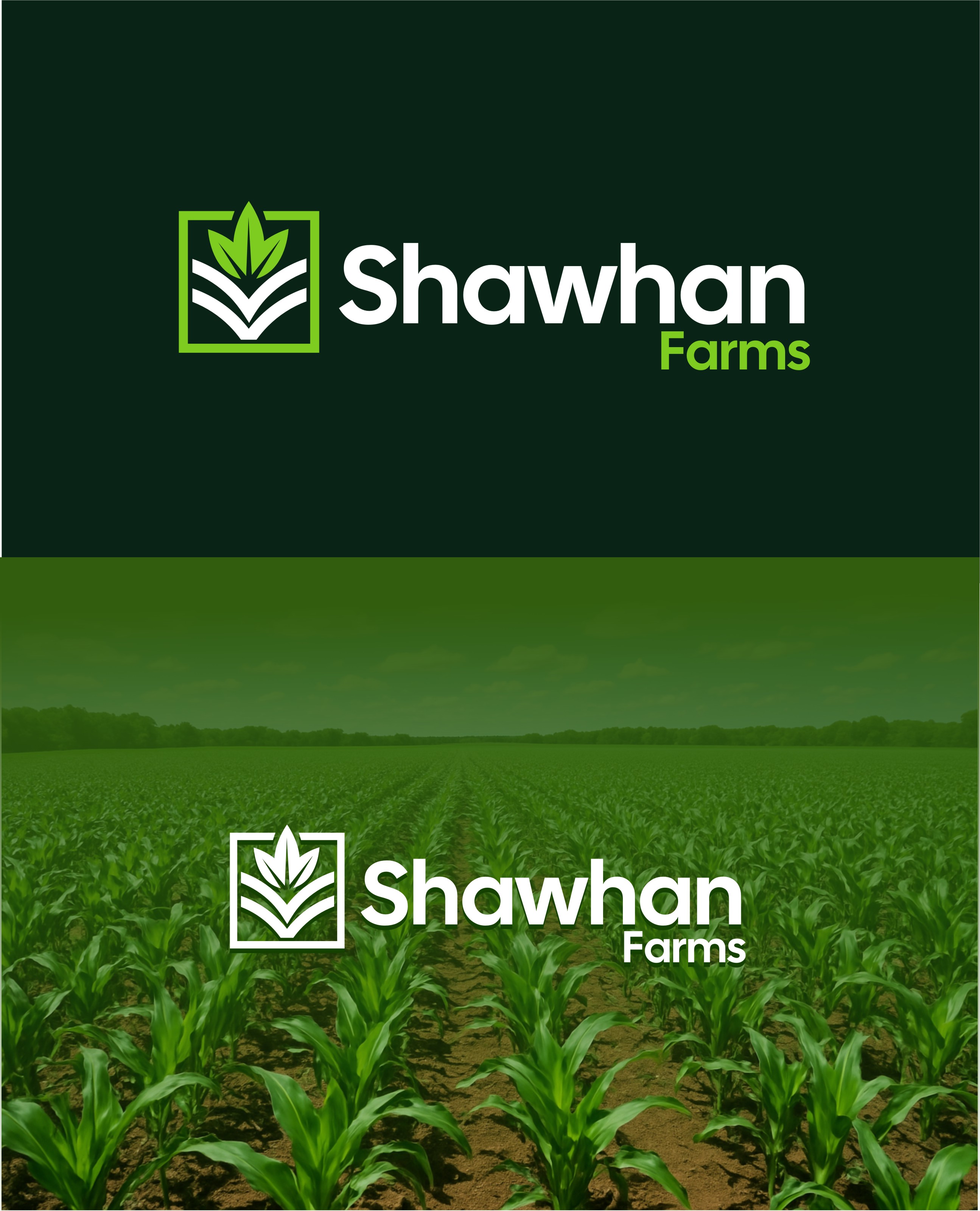 Diseño de Logo por rgb01 para este proyecto | Diseño #36511558