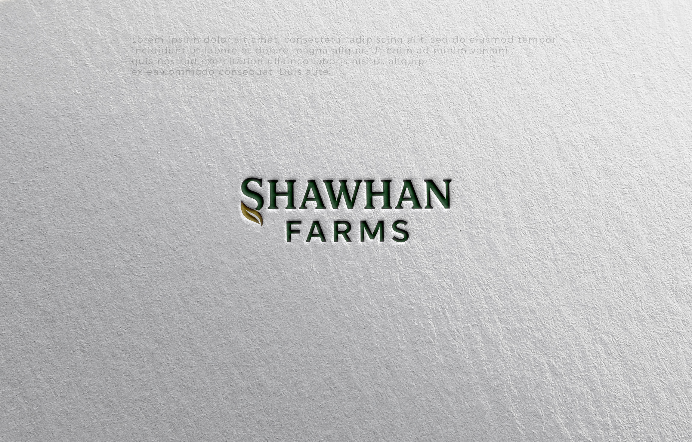 Logo Design by MHdesignM for this project | Design #36487585