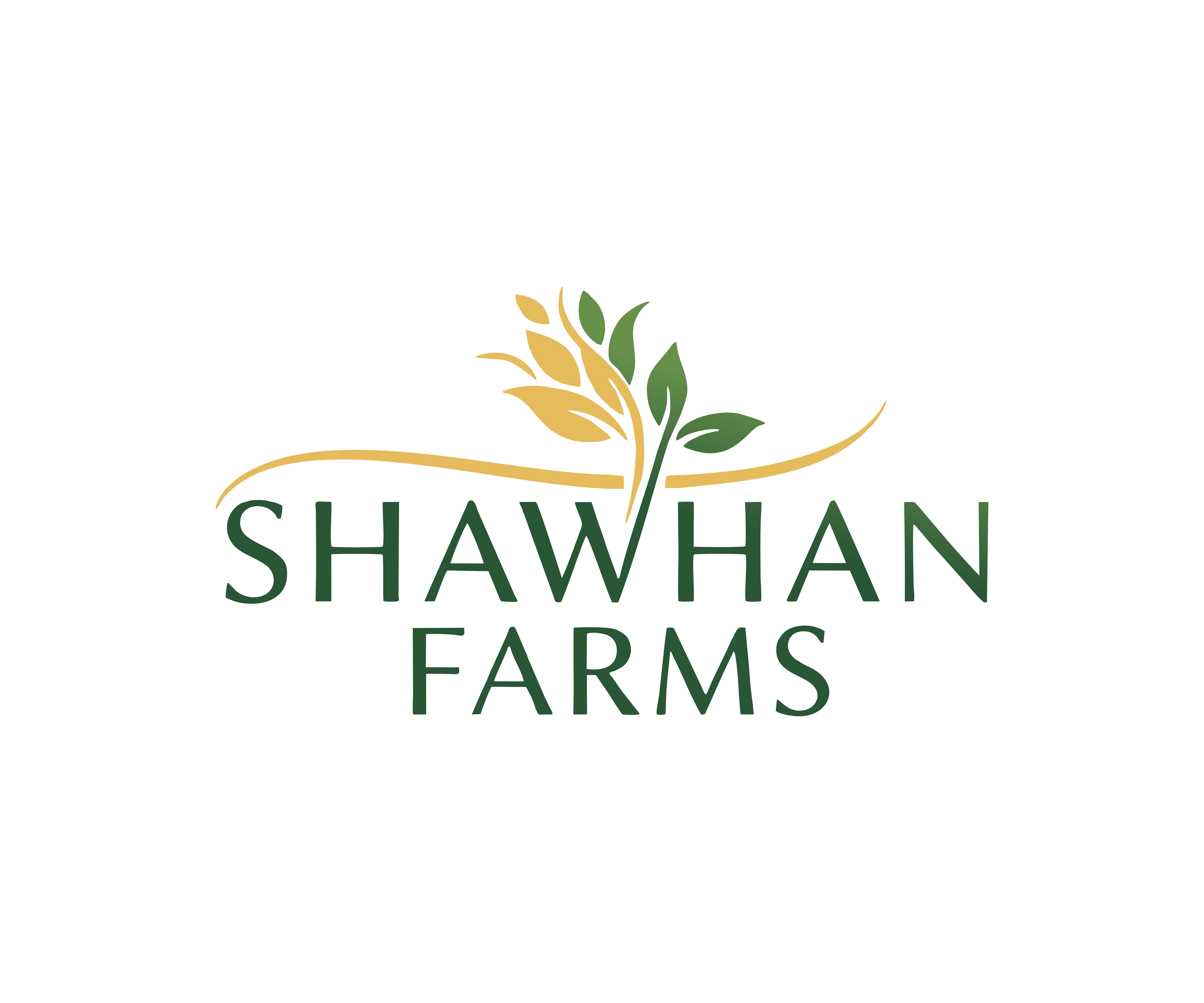 Logo Design by BUSUJIMA_SAN for this project | Design #36478479