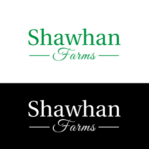 Logo Design by Noor Ezz for this project | Design: #36477794