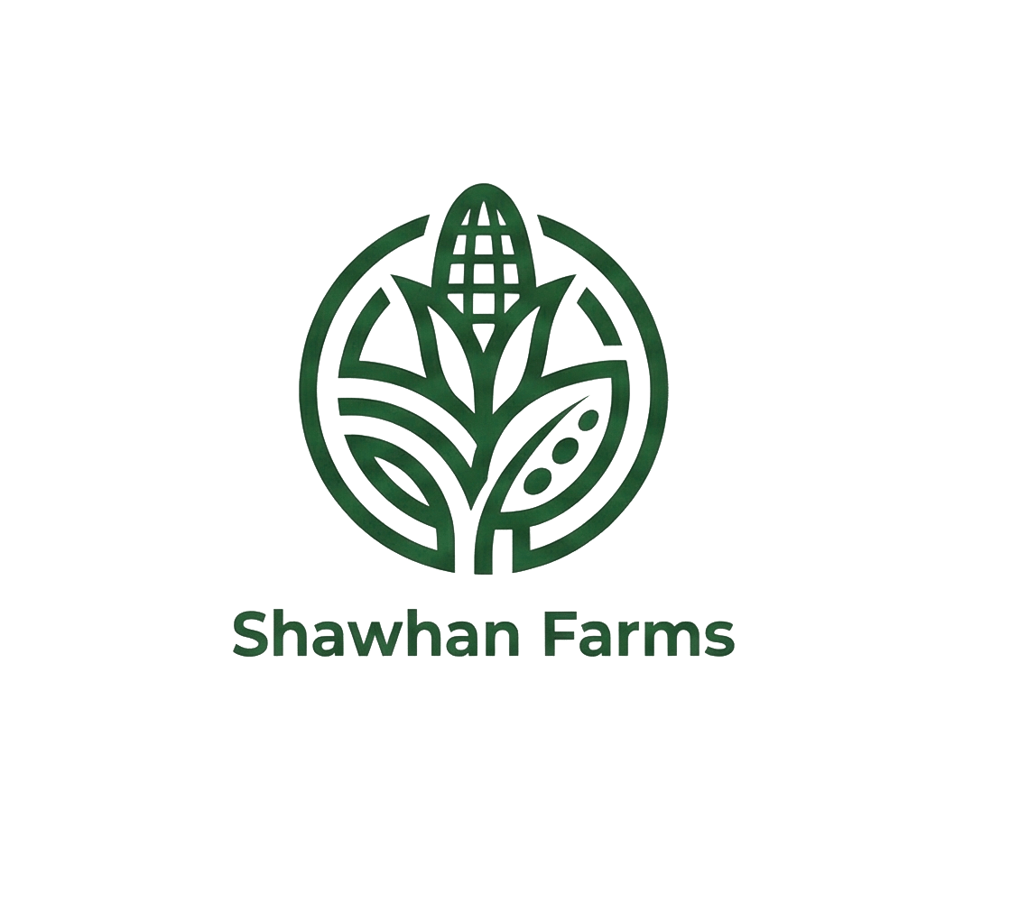 Logo Design by HSL Brain for this project | Design #36483601