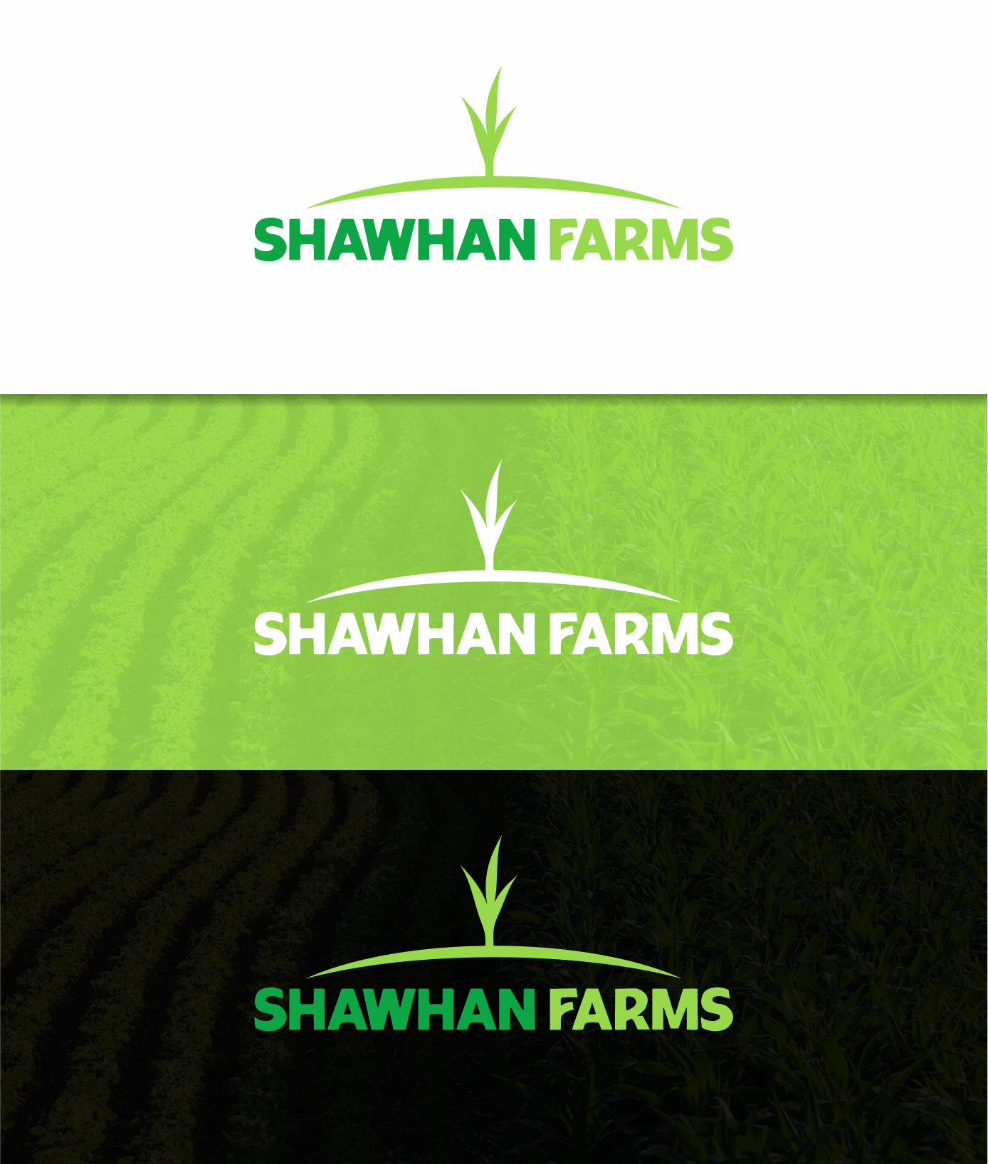 Logo Design by Sibyle for this project | Design #36480610