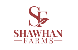 Logo Design by Paras Bali for this project | Design: #36516344