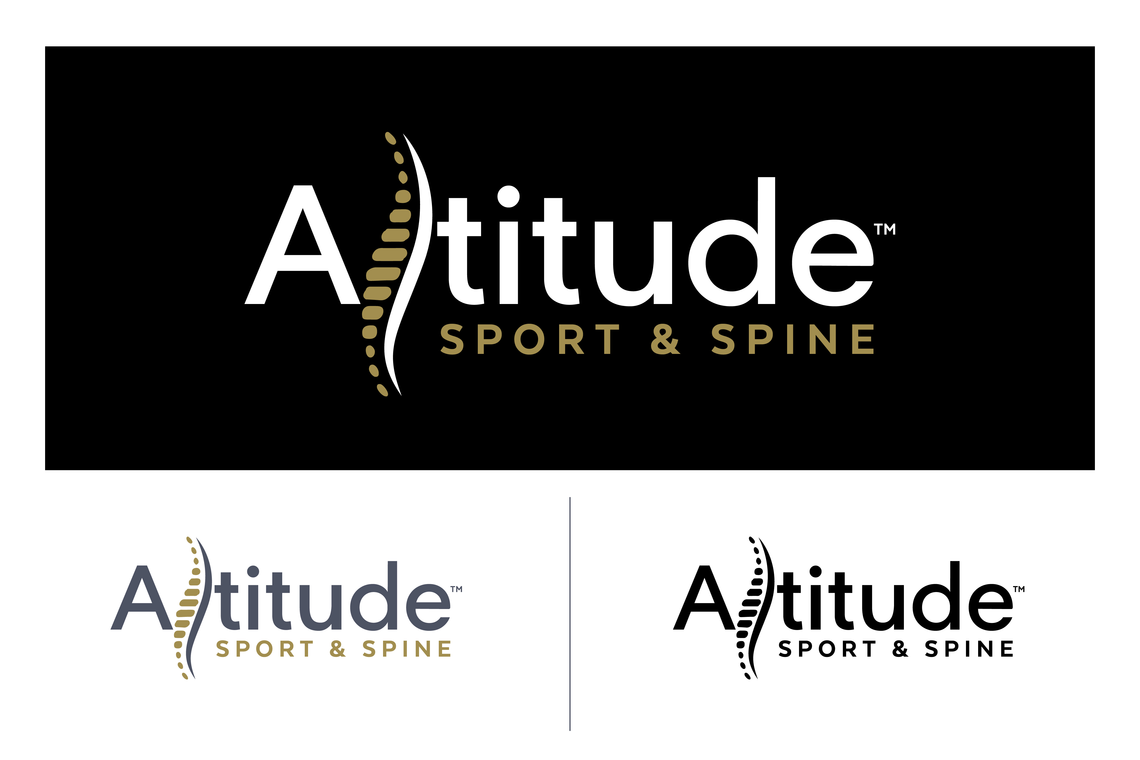 Logo-Design von Idea Master Plus für dieses Projekt | Design #36481115