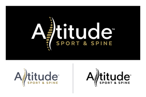 Logo-Design von Idea Master Plus für dieses Projekt | Design #36481115