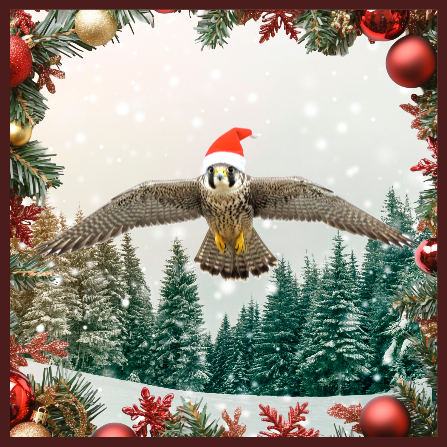 Graphic Design by ThiagoB for this project | Design #36488819