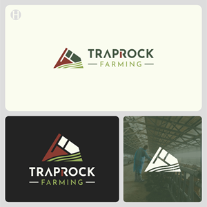 Logo Design by Talha Ahmad for this project | Design: #36491625