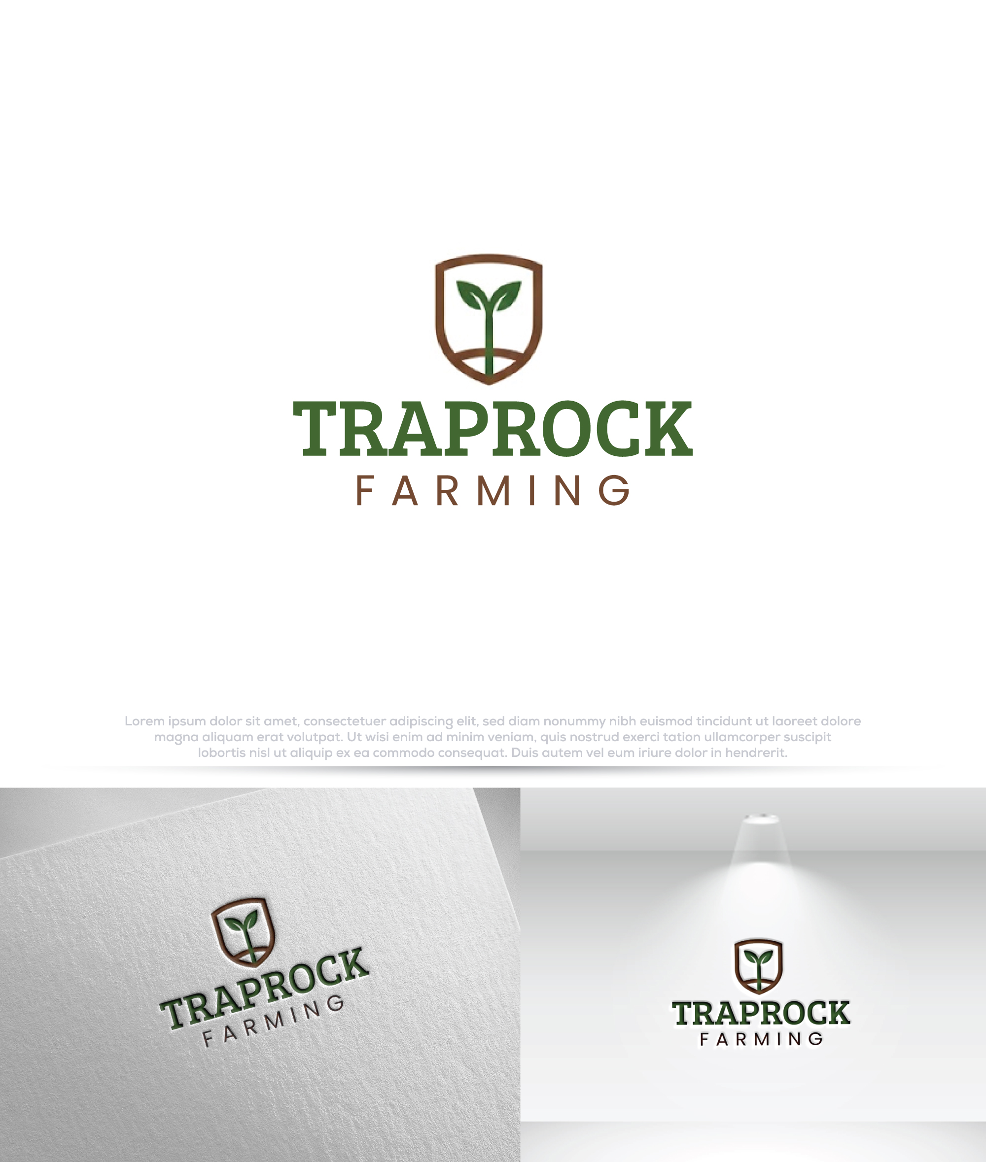 Logo-Design von Pilot_DesignR™ für dieses Projekt | Design #36487874