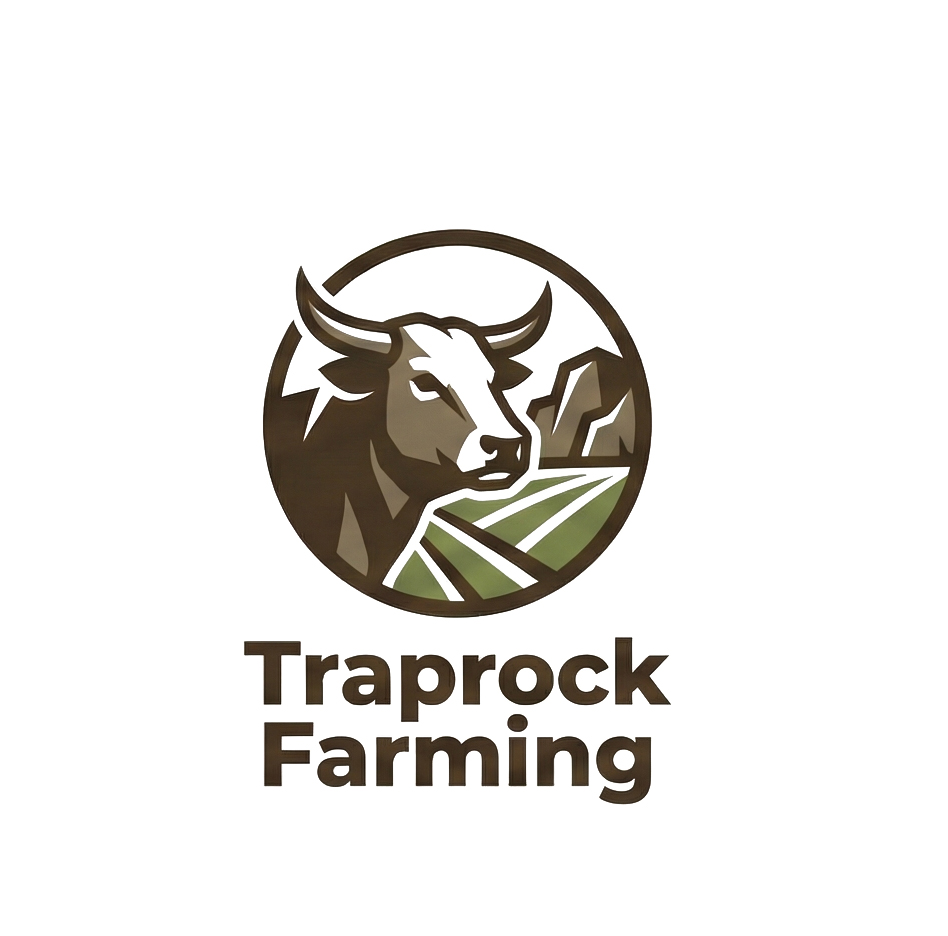 Logo Design by HSL Brain for this project | Design #36487683