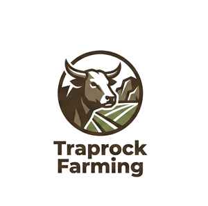 Logo-Design von HSL Brain für dieses Projekt | Design: #36487683