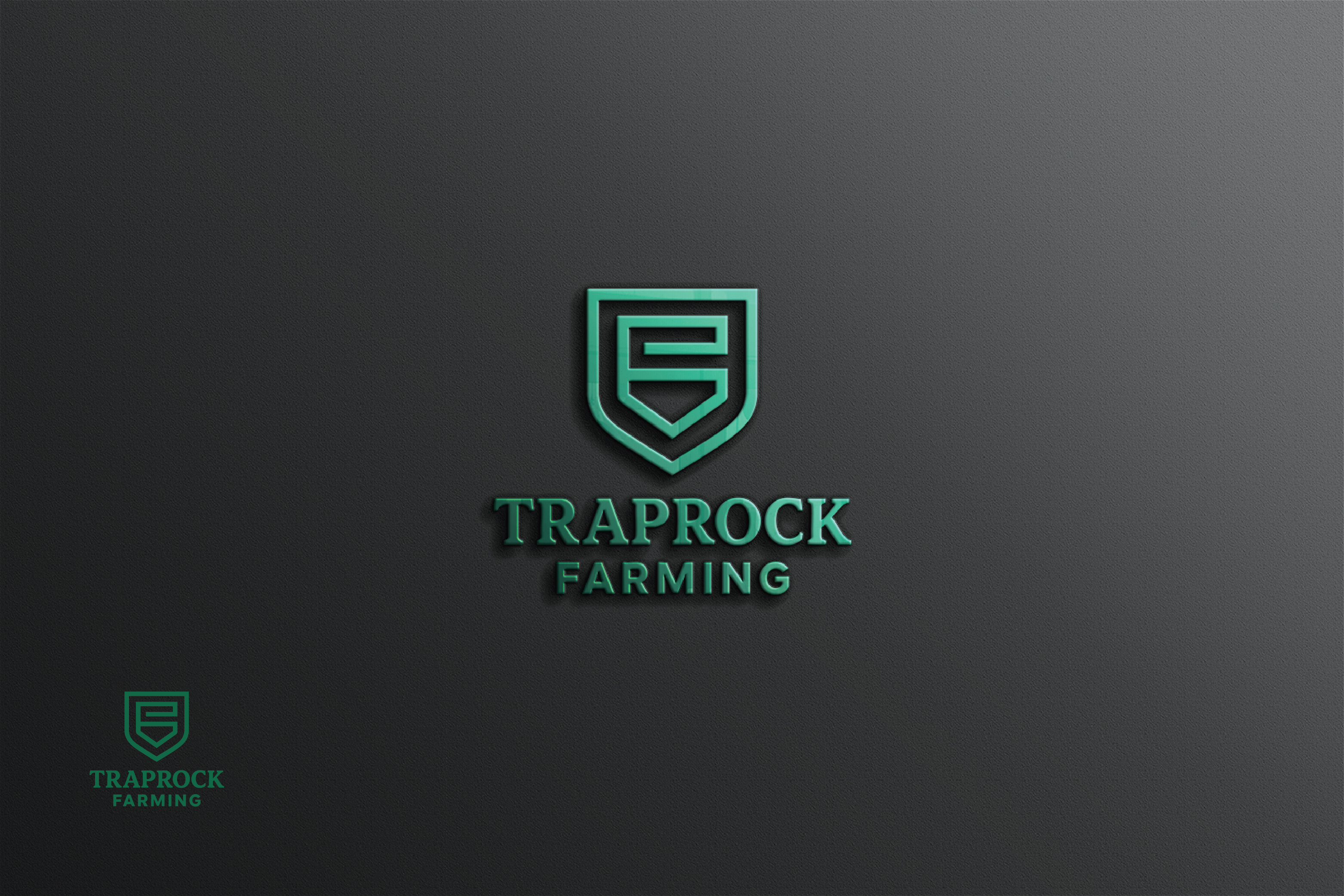 Design de Logo par raju.creative pour ce projet | Design #36489695