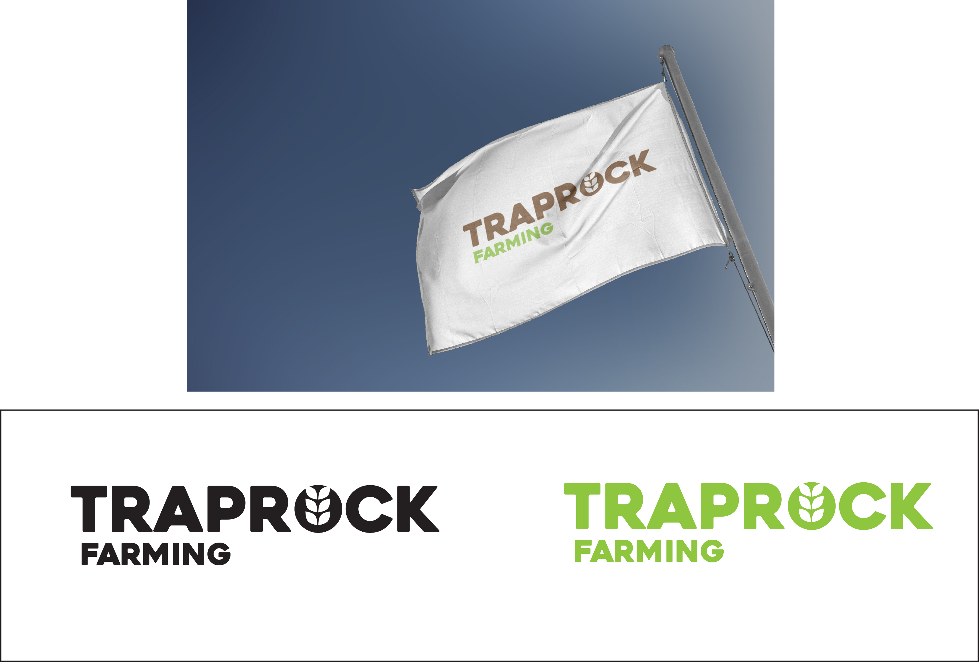 Logo Design by Marin Nicolae for this project | Design #36492997