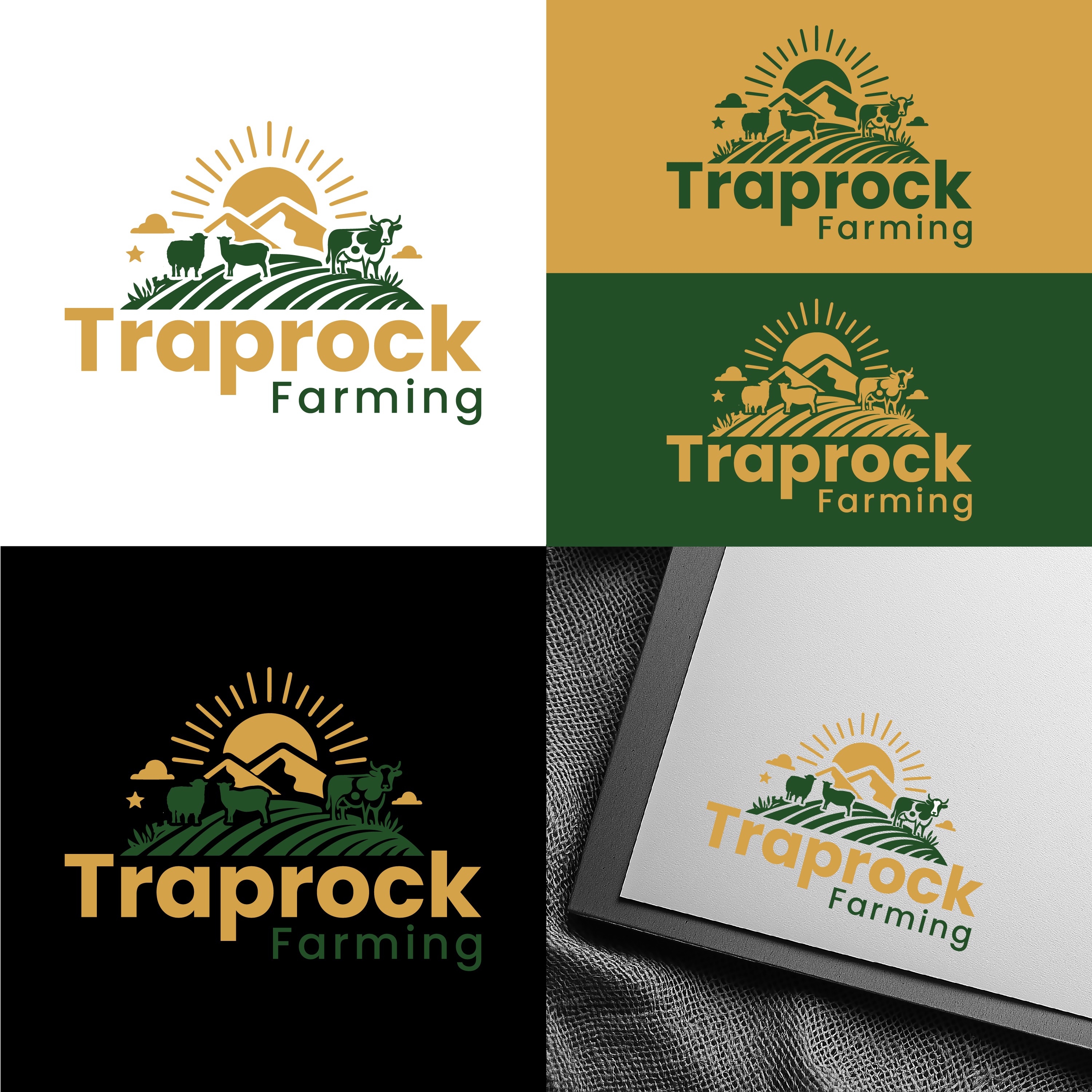 Logo Design by Design Reflector for this project | Design #36492618