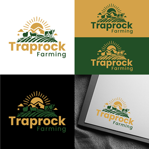 Logo Design by Design Reflector for this project | Design: #36492618