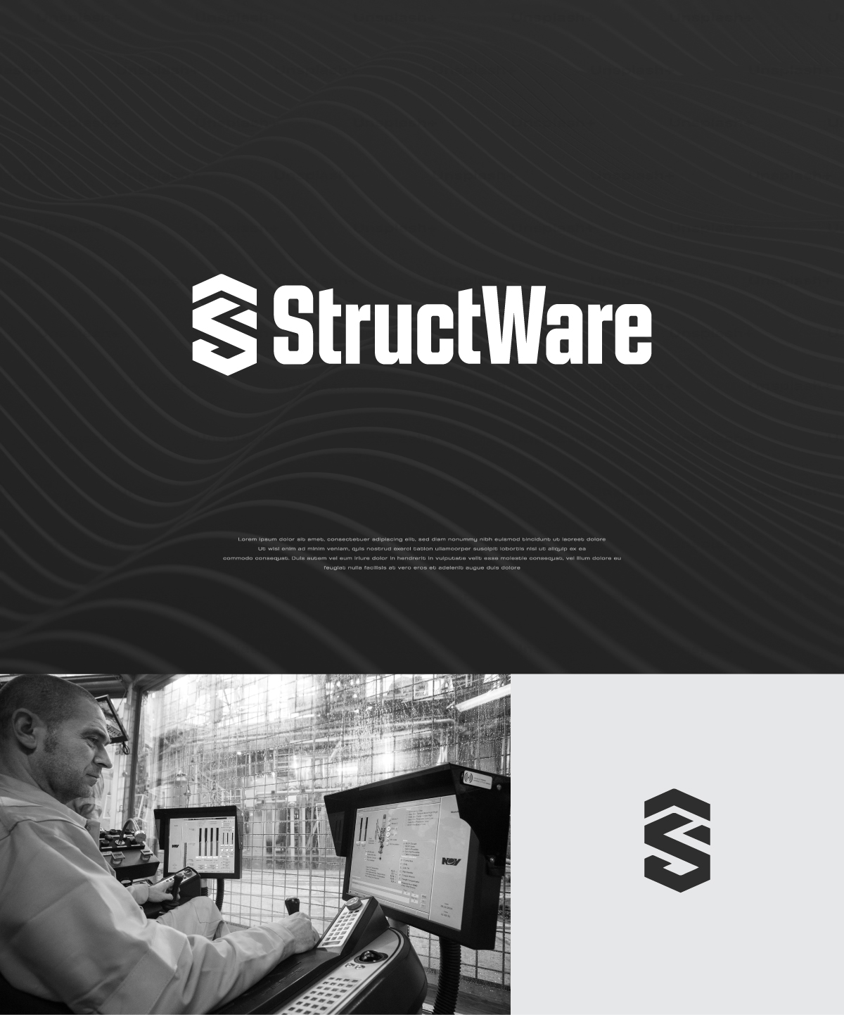 Logo Design by apik. for StructWare sp. z o.o. | Design #36487668