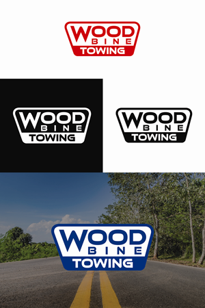 Design de Logo par MST . ANWARA KHATUN pour ce projet | Design : #36489965