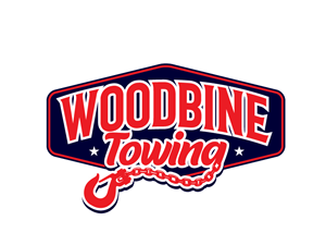 Design de Logo par Dream Logo Design pour ce projet | Design : #36501291