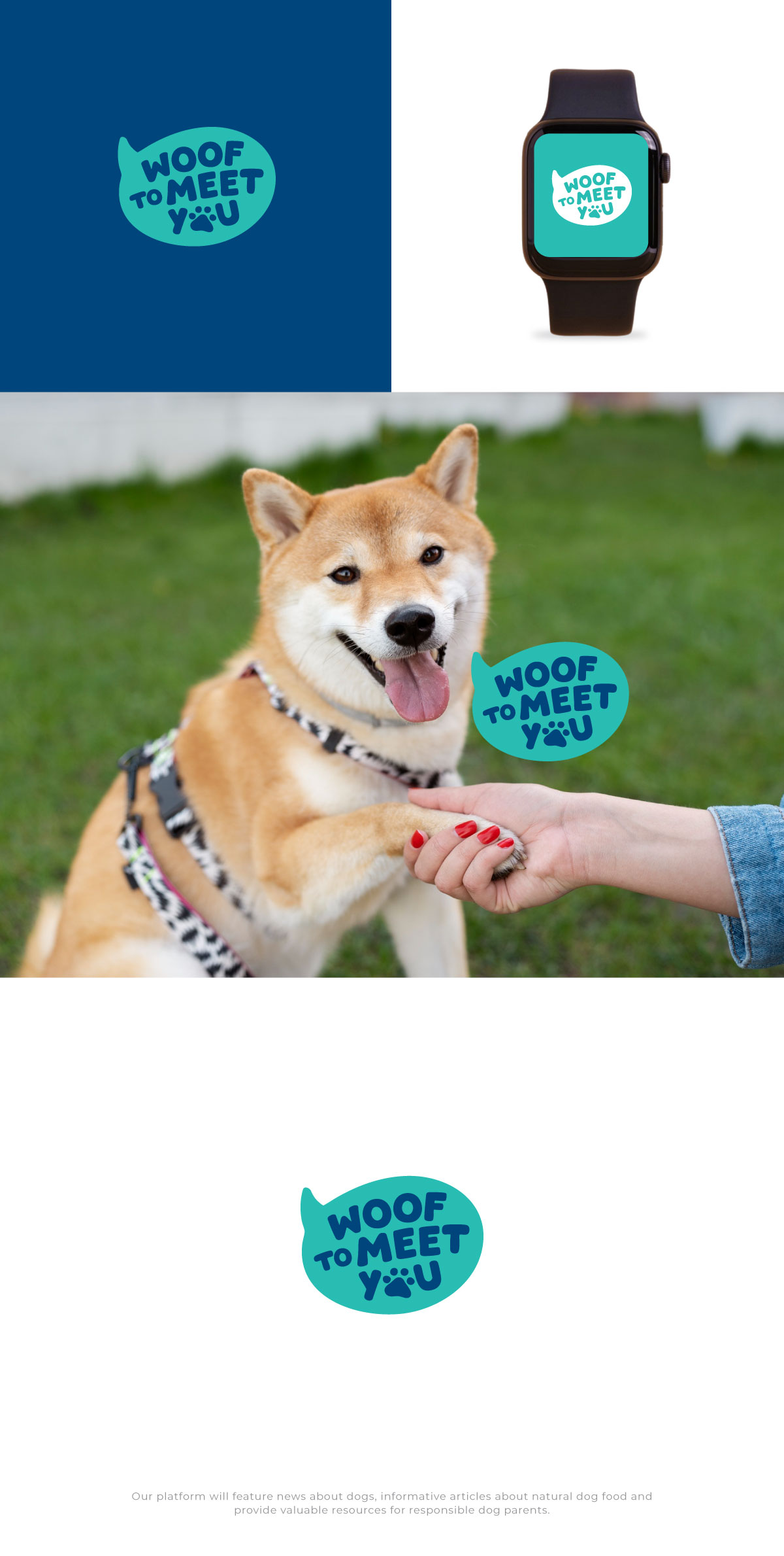 Diseño de Logo por eeshu para este proyecto | Diseño #36498629