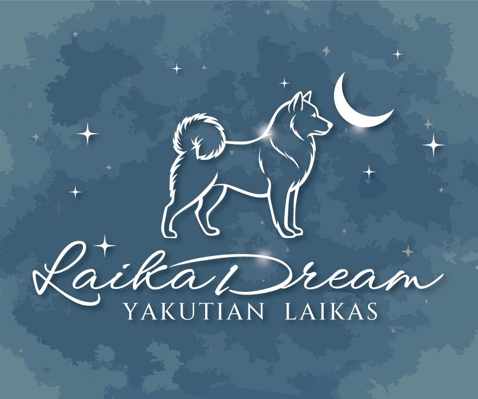 Logo Design by rgb01 for this project | Design #36533497