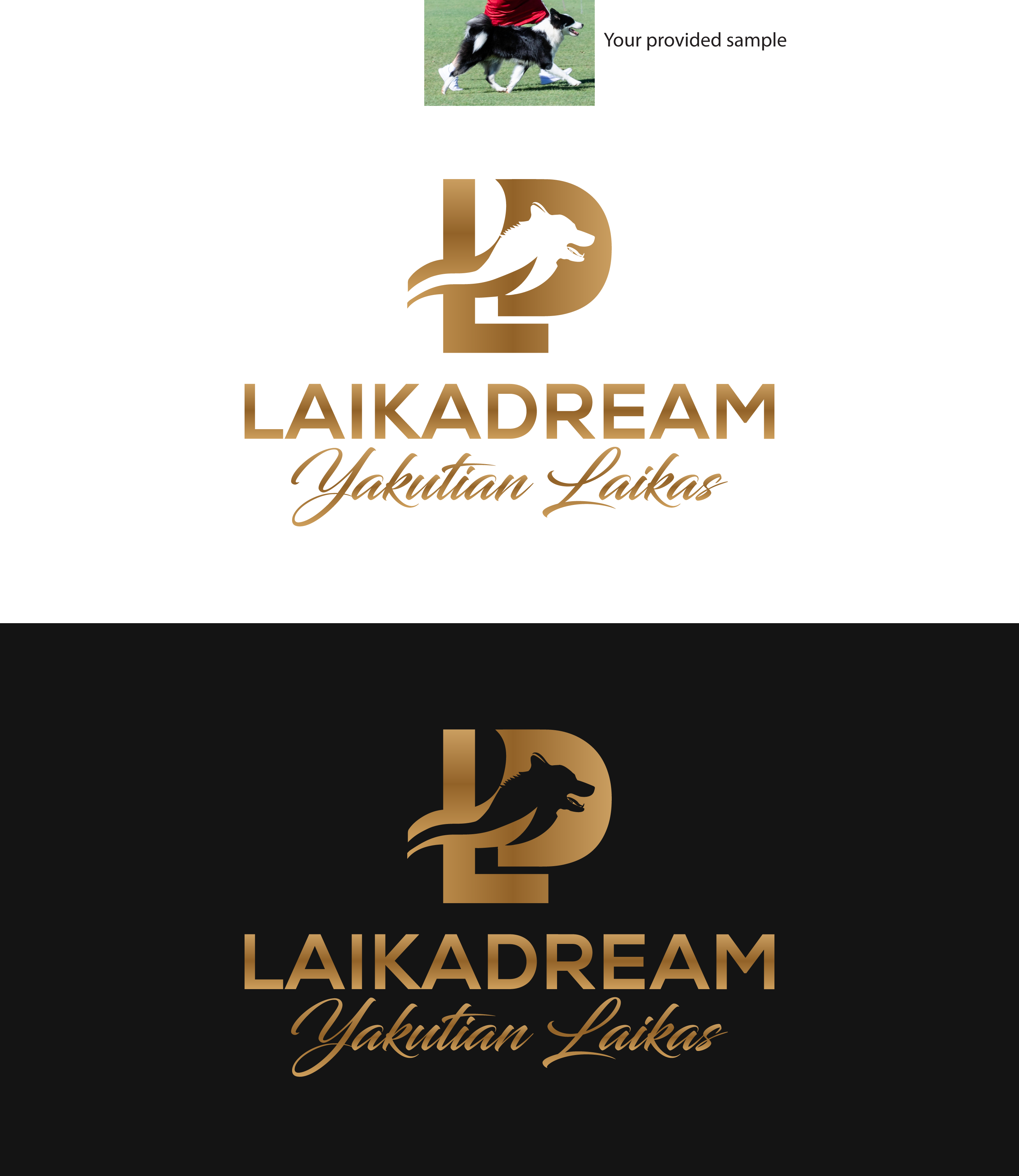 Logo Design by M Art & Design for this project | Design #36501357