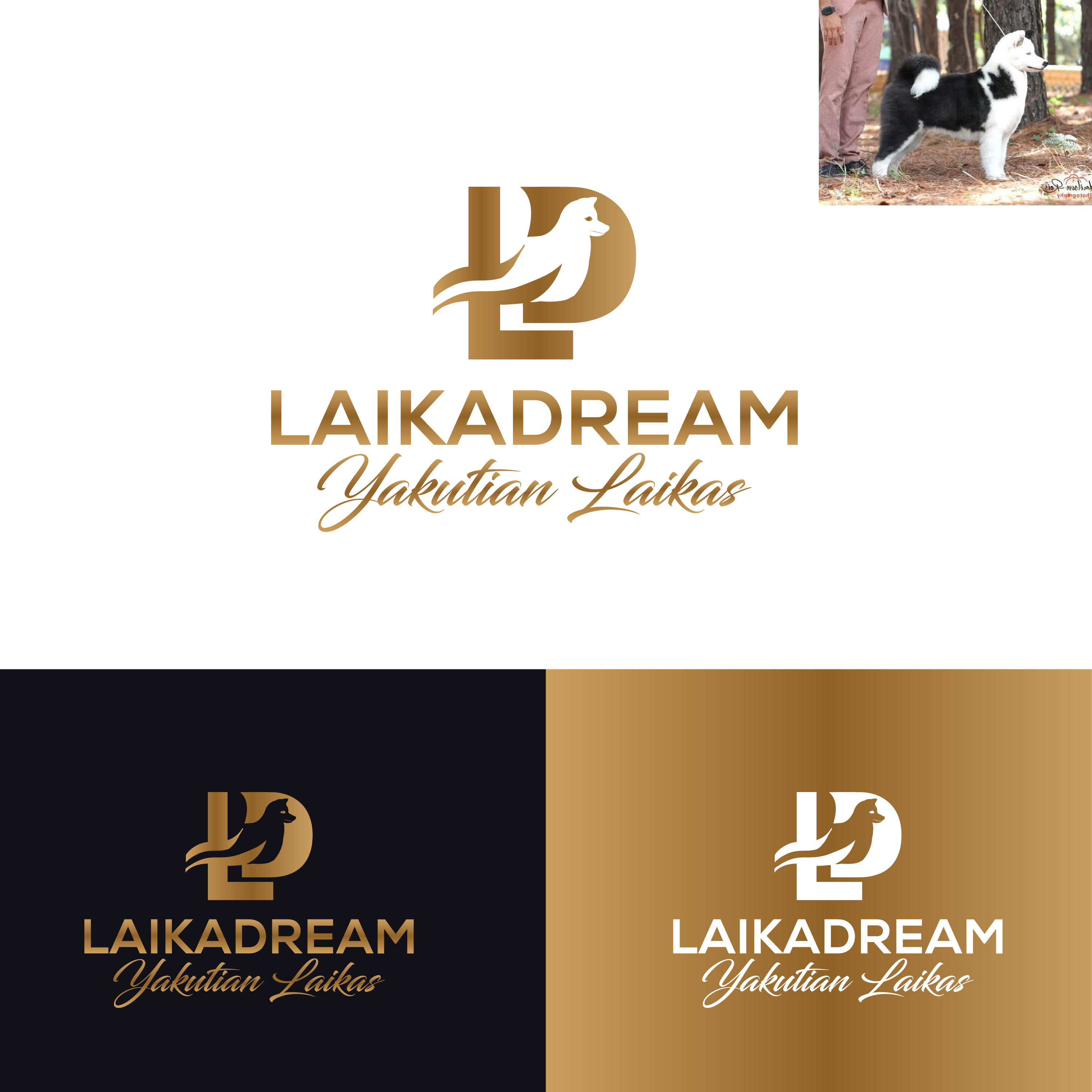 Logo Design by M Art & Design for this project | Design #36507845