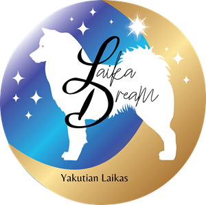 Logo Design by QWERTY graphics for this project | Design: #36507603